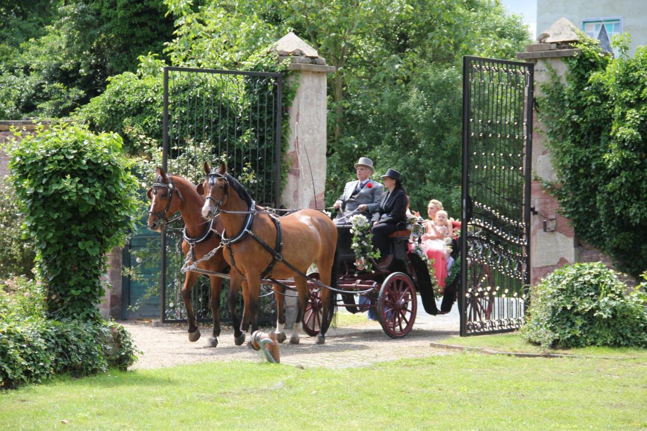 Jagdschloss Moenchbruch 모르펠덴발도르프 외부 사진