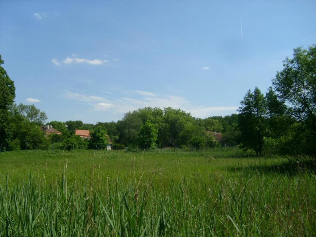Jagdschloss Moenchbruch 모르펠덴발도르프 외부 사진
